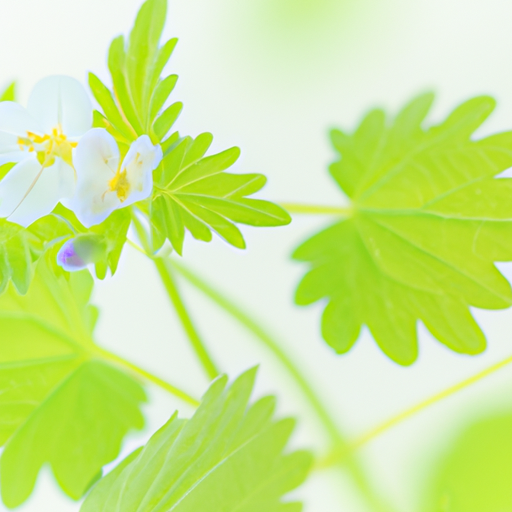 유흥알바 유흥알바