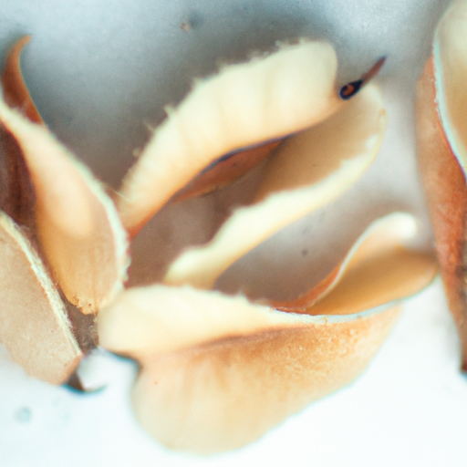 토토사이트 토토사이트